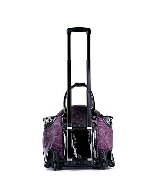 Wheeled Carry On Fashion Luggage