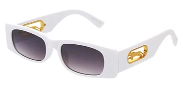 Pack of 12 Open Jaguar Bar Sunglasses