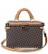 Monogram Boxy Satchel Travel Case